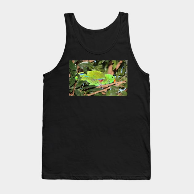 Male Eclectus Parrot #1 Tank Top by Carole-Anne